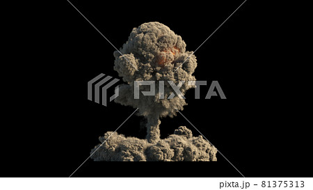 Atomic explosion on black background 81375313