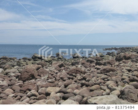 初島島内周遊道から見る夏の太平洋（静岡県熱海市） 81375494