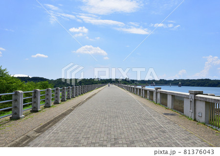山口貯水池と村山貯水池と周辺の風景 山口貯水池と村山貯水池と周辺の風景 81376043