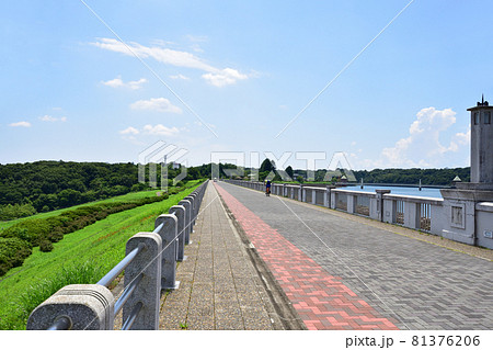 山口貯水池と村山貯水池と周辺の風景 81376206