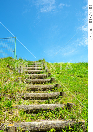 球場の応援席に向かう斜面に設けられた階段を下から見上げた構図 81376284
