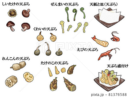 山菜、海老の天ぷらと盛付けセット　主線あり 81376588