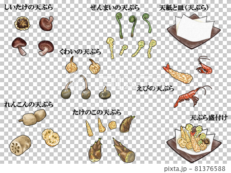 山菜、海老の天ぷらと盛付けセット　主線あり 81376588