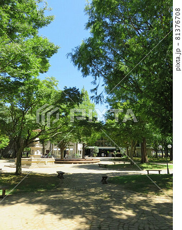 こもれび森のイバライド 夏の風景 こもれび森のイバライド 夏の風景 81376708