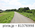 道 81376998