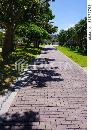公園のジョギングコース　ゴムブロック　健康　那覇　奥武山公園 81377798