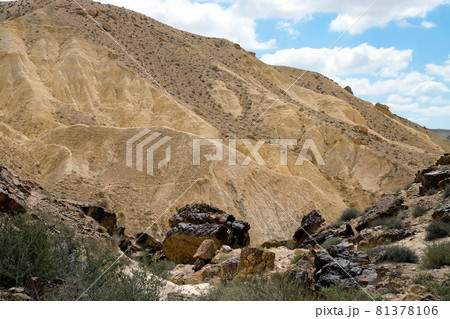 Wadi Hawarim - a dry bed among the mountains in the Negev desert 81378106