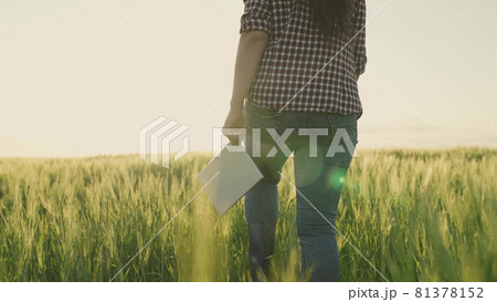 farmer in boots walks across a green field with a tablet in his hands in the glare of the sunset, work and life in agriculture, land crops have sprung up and grow, prepare for harvest, seed and grain 81378152