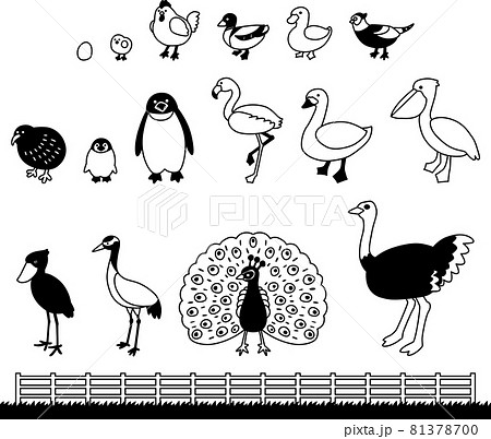 動物 鳥類 イラストセット 白黒 のイラスト素材