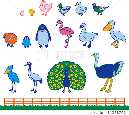 動物 鳥類 イラストセット カラフル のイラスト素材