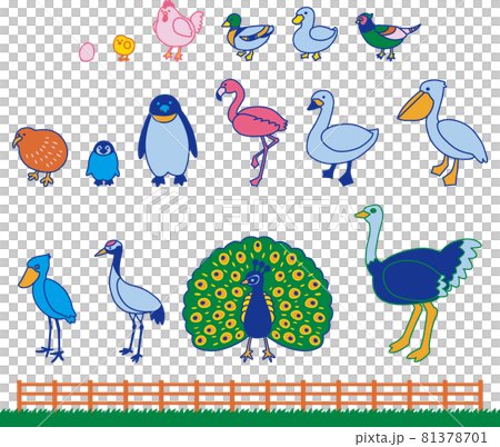 動物（鳥類）插圖集（彩色） 81378701