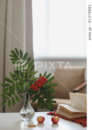 autumn still life with a rowan branch in a vase, book and apples in a cozy home interior autumn still life with a rowan branch in a vase, book and apples in a cozy home interior 81378881