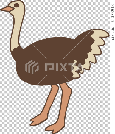 ダチョウのイラスト素材