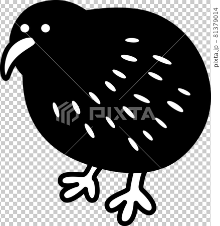 kiwi kiwi 81379014