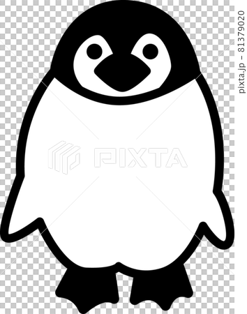 Penguin chick 81379020