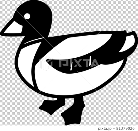 カモのイラスト素材 カモのイラスト素材