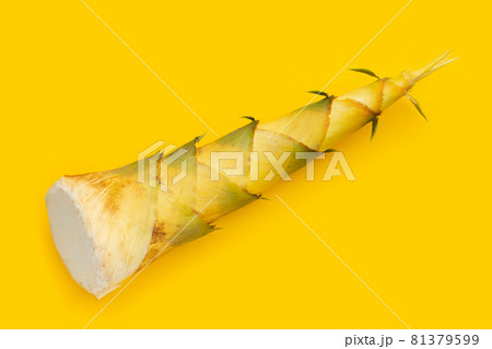 Bamboo shoot on yellow background. 81379599