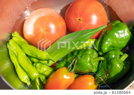 夏野菜の収穫・集合　ボウルに入れた夏野菜　（7月）　家庭菜園 81380064