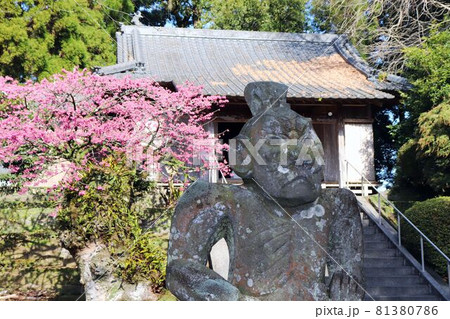 旗山神社の仁王像 旗山神社の仁王像 81380786