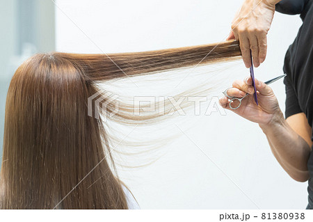 ヘアサロンで女性の髪の毛をカットするスタイリストの手元 ヘアサロンで女性の髪の毛をカットするスタイリストの手元 81380938