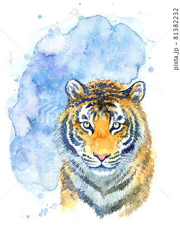 水彩画 虎 正面顔のイラスト素材 [81382232] - PIXTA