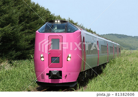 キハ261系はまなす編成　はまなす編成　特急サロベツ 81382606