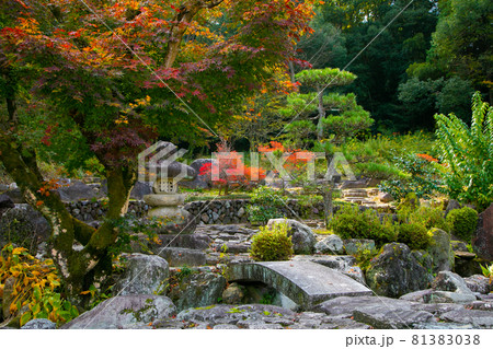 岐阜県可児市 明智荘 明智光秀ゆかりの地 青雲山天龍寺 岐阜県可児市 明智荘 明智光秀ゆかりの地 青雲山天龍寺 81383038
