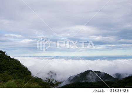 峠から見た雲海 峠から見た雲海 81383428