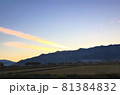 飛行機雲　夕暮れ 81384832
