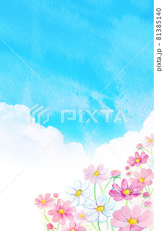 コスモス畑 水彩イラスト コスモス畑 水彩イラスト 81385140