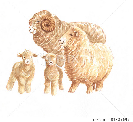 水彩：羊A 81385697