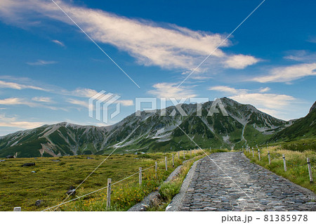 室堂平の遊歩道と立山連峰 81385978