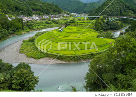 和歌山あらぎ島 和歌山あらぎ島 81385984