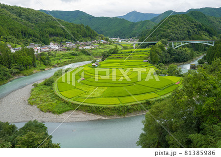 和歌山あらぎ島 81385986