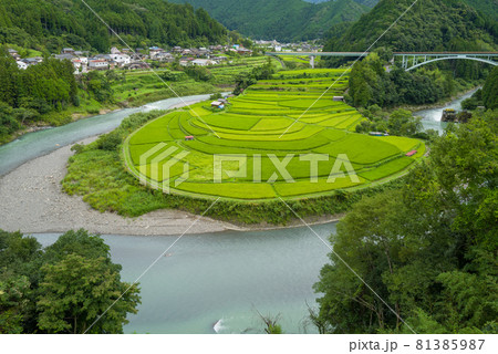 和歌山あらぎ島 和歌山あらぎ島 81385987