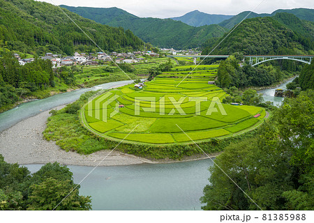 和歌山あらぎ島 和歌山あらぎ島 81385988