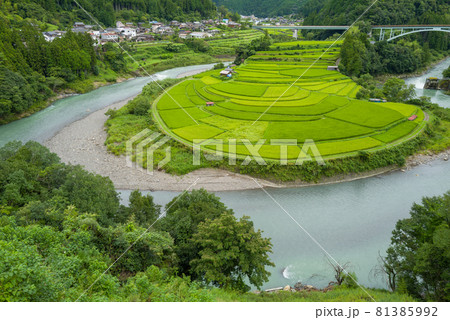 和歌山あらぎ島 和歌山あらぎ島 81385992