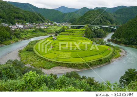 和歌山あらぎ島 81385994