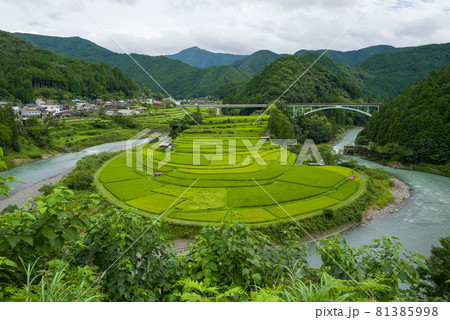 和歌山あらぎ島 81385998