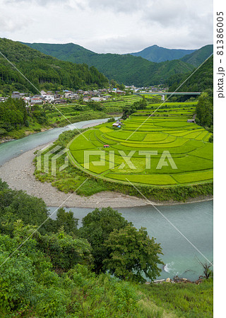 和歌山あらぎ島 和歌山あらぎ島 81386005