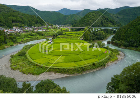 和歌山あらぎ島 81386006