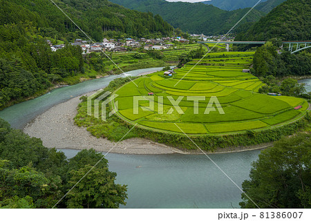 和歌山あらぎ島 81386007