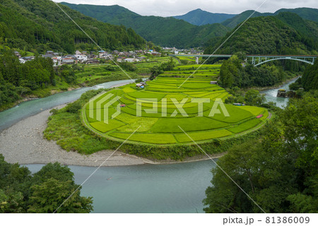 和歌山あらぎ島 81386009
