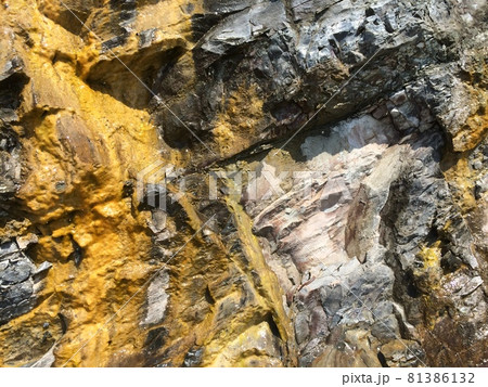 Background with yellow mold on the mountain or rock 81386132