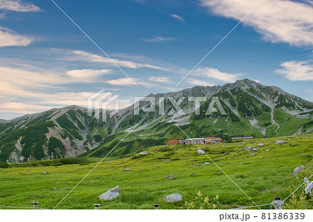 室堂平の立山連峰 室堂平の立山連峰 81386339