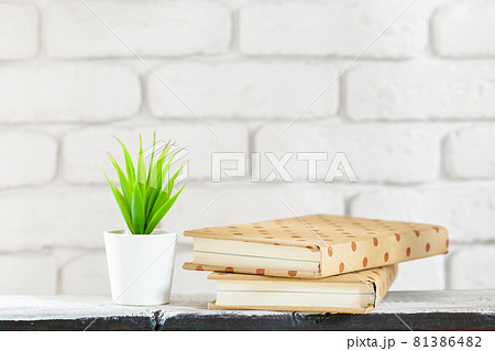House plants in pots on white table at white brick wall with objects House plants in pots on white table at white brick wall with objects 81386482