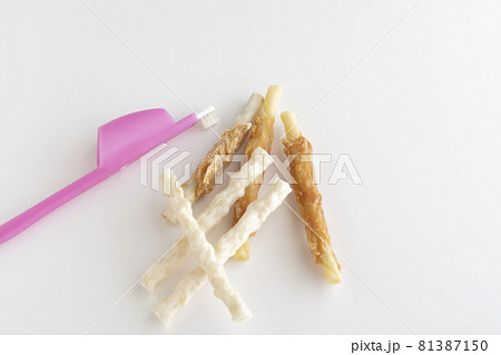 白背景の犬用デンタルガムと歯ブラシ 81387150