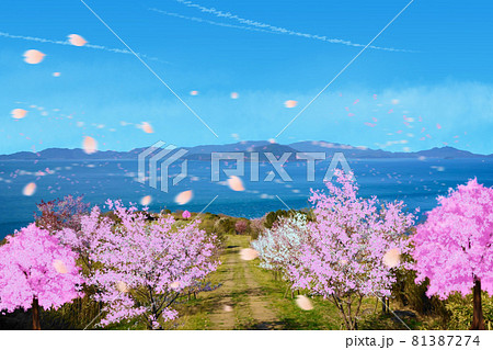 桜　瀬戸内海　香川県さぬき市大串公園　イラスト 81387274