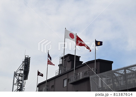 甲子園球場 81387614