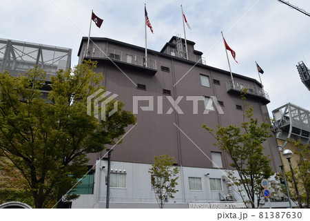 甲子園球場 81387630